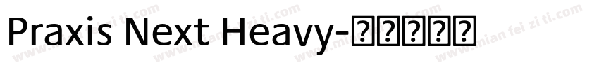 Praxis Next Heavy字体转换